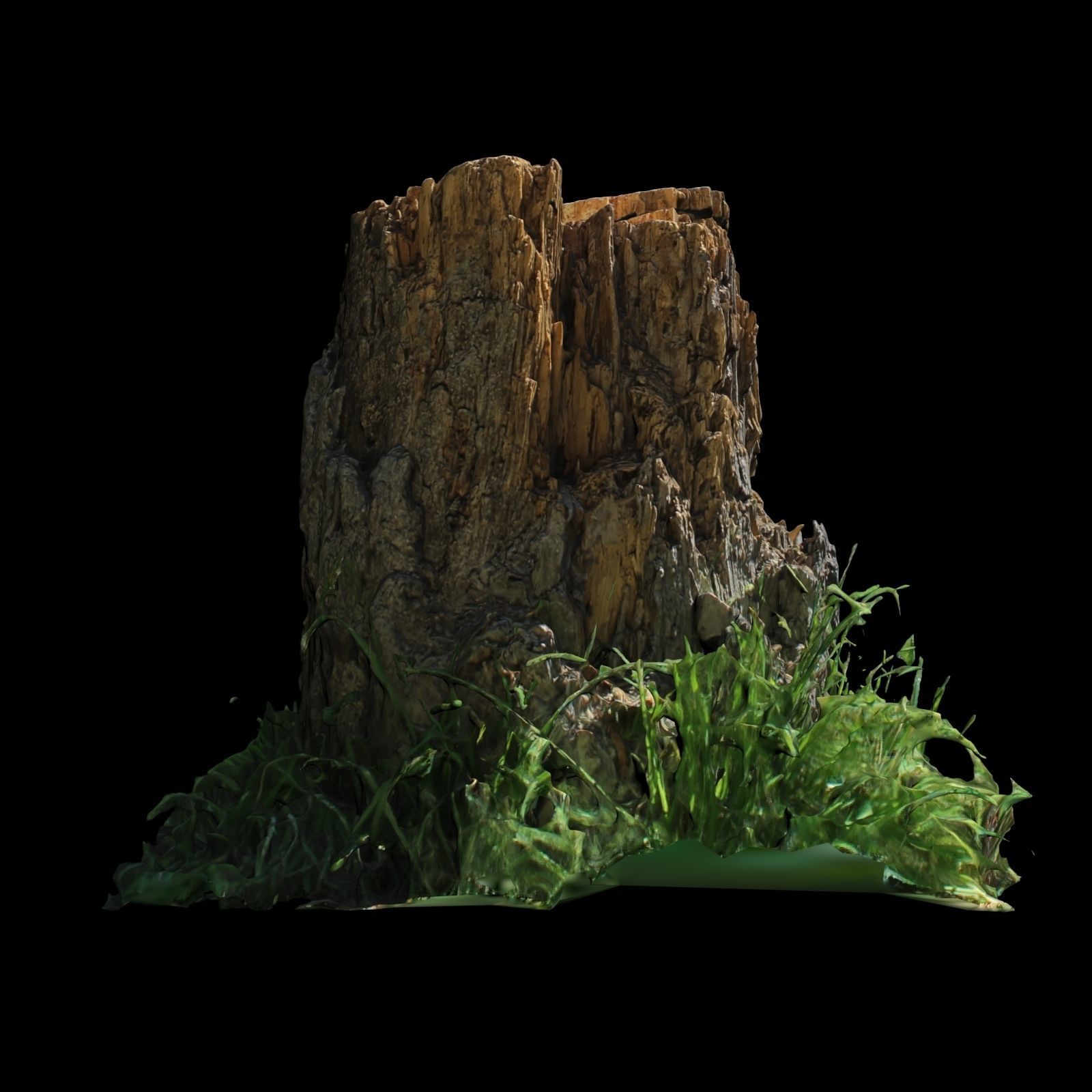 Trunk tree stump with grass 3D model_5