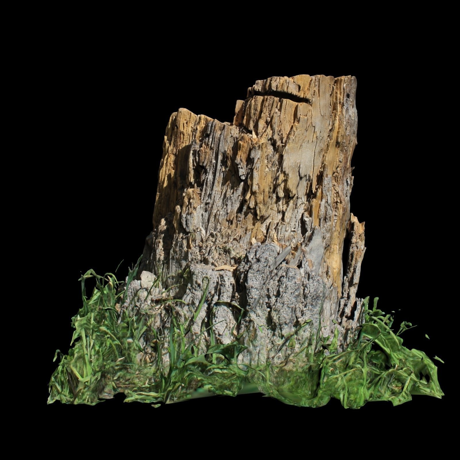 Trunk tree stump with grass 3D model_2