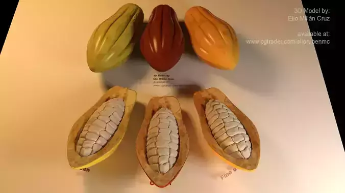 Cacao Fruit 3 colors  3D model