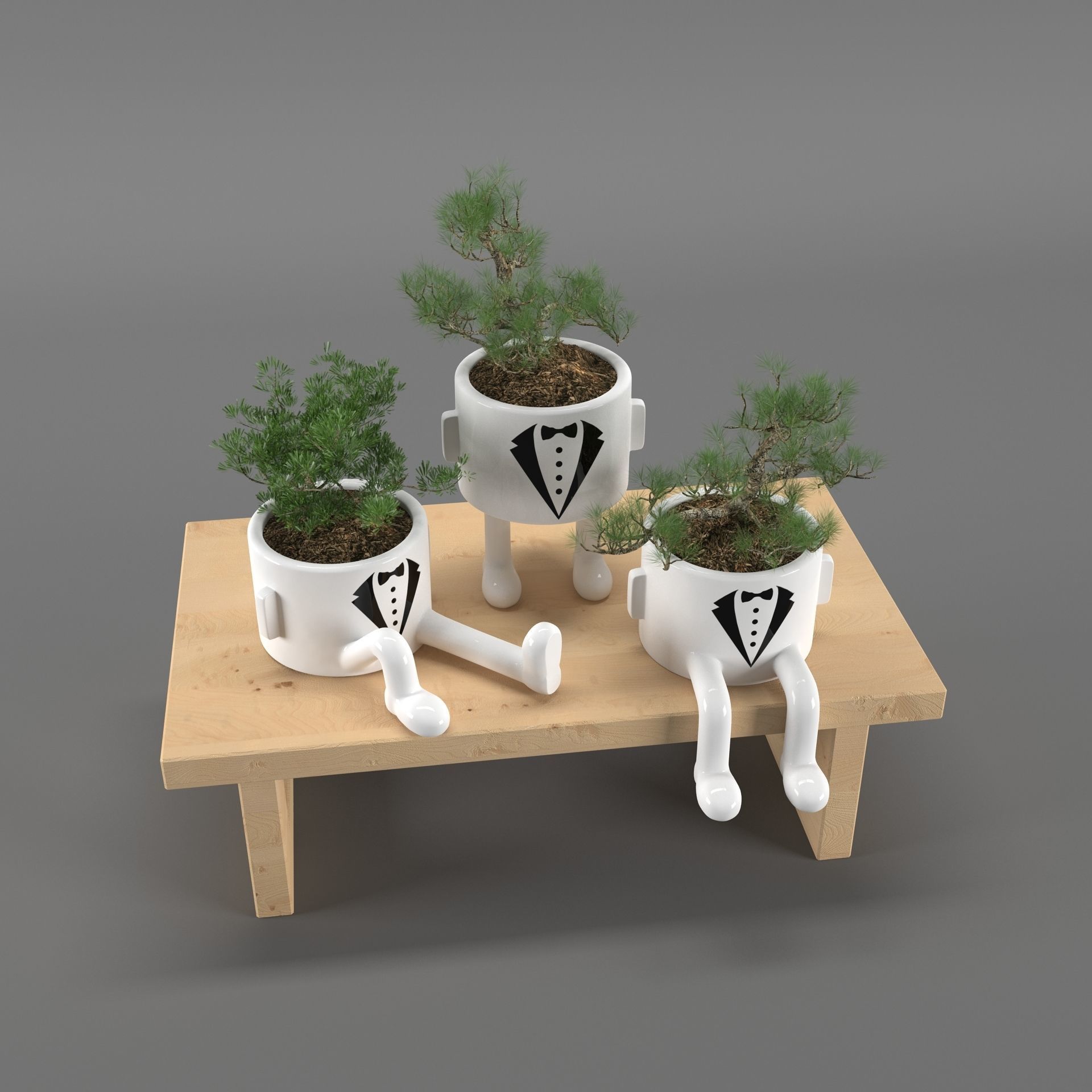 indoor plants 3D model_3