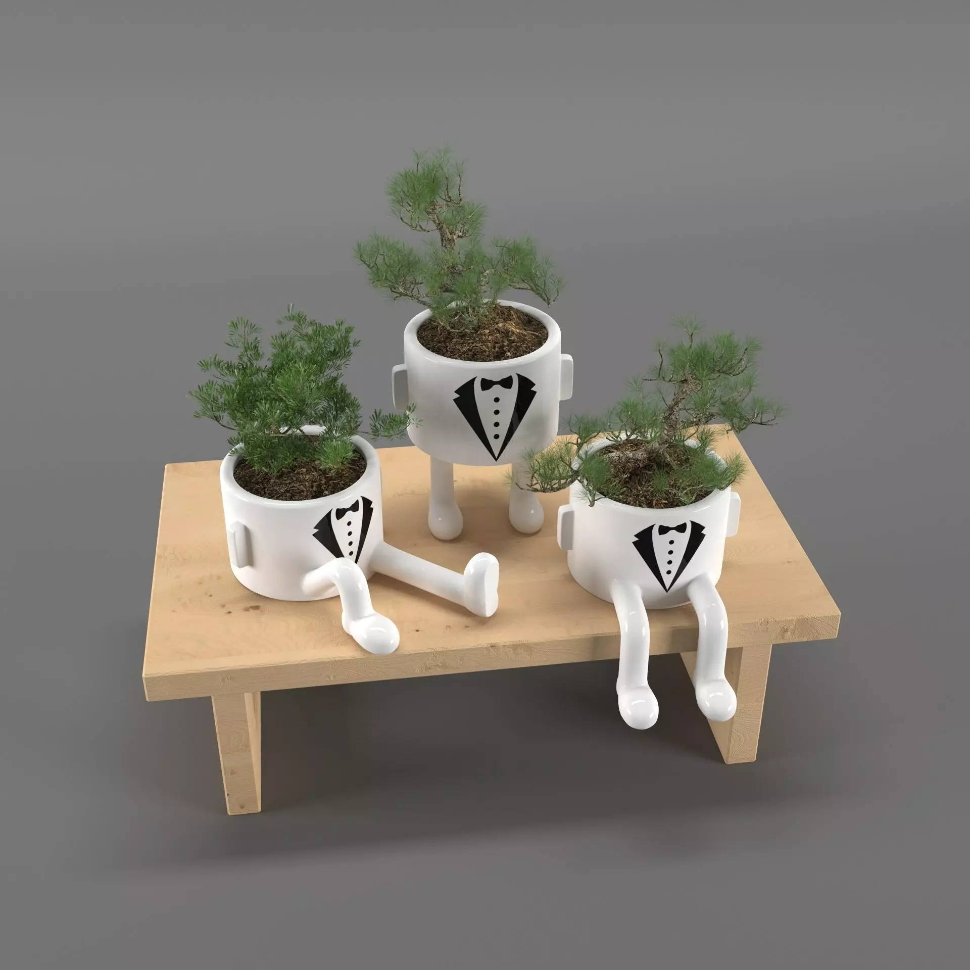 indoor plants 3D model_0