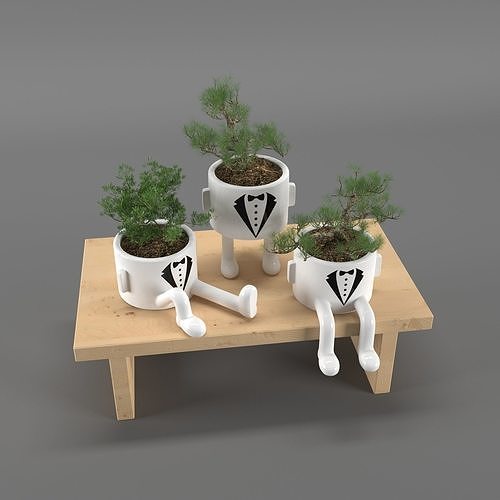 indoor plants 3D model