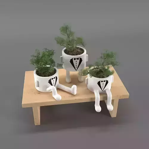 indoor plants 3D model indoor plants 3D model