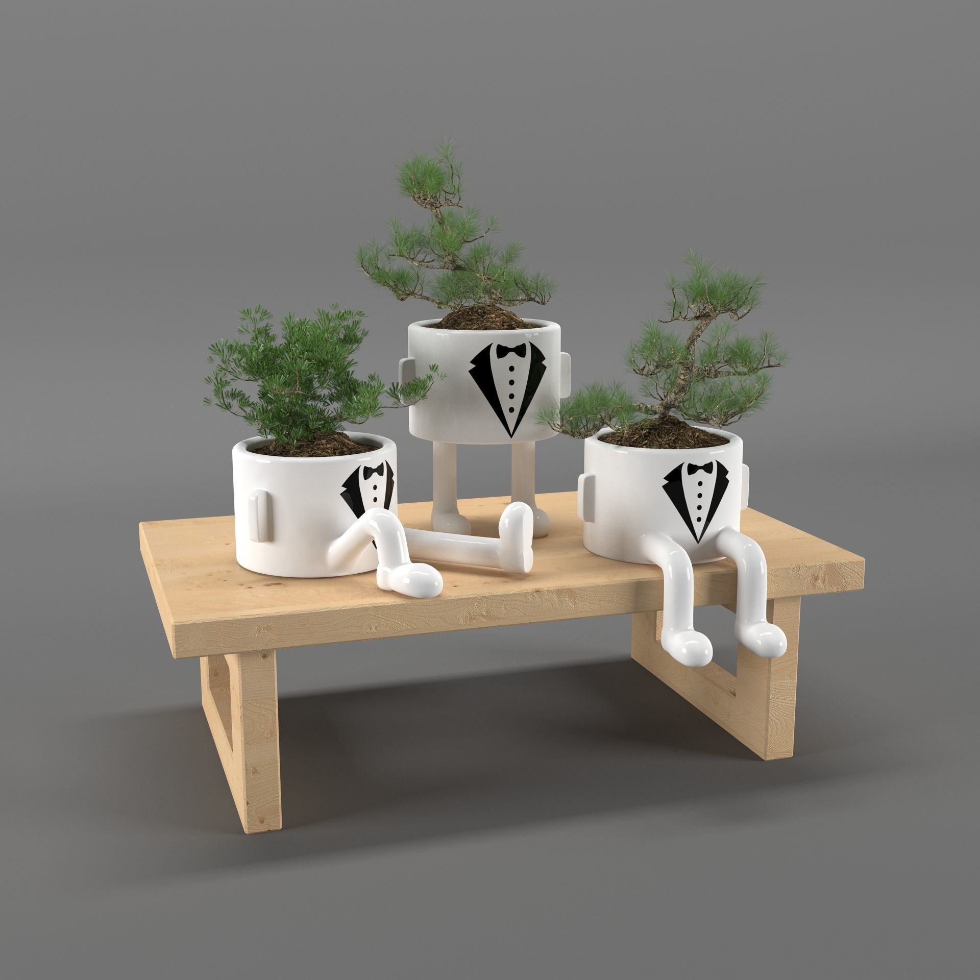 indoor plants 3D model_4