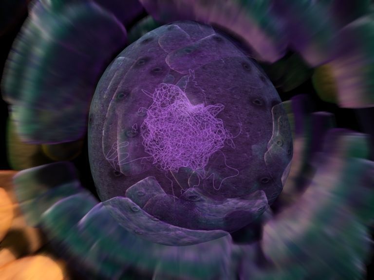 scene Cell more detail move to chromosome 3D model_4