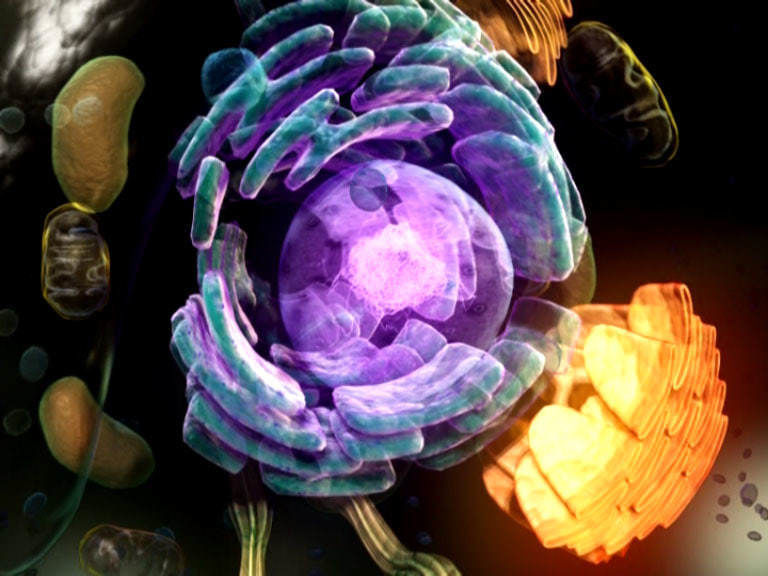 scene Cell more detail move to chromosome 3D model_3