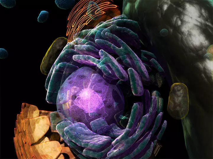 scene Cell more detail move to chromosome 3D model_0