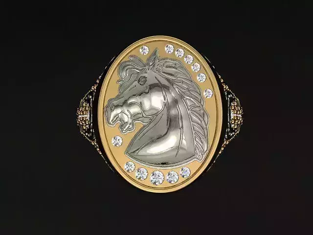 Horse Ring