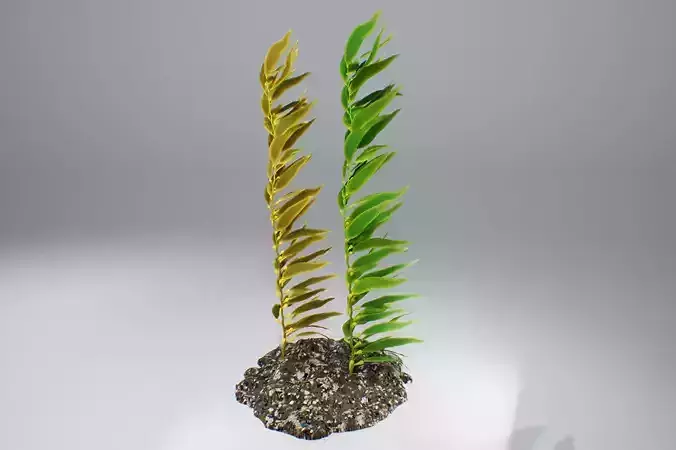 Kelp  V1 3D model