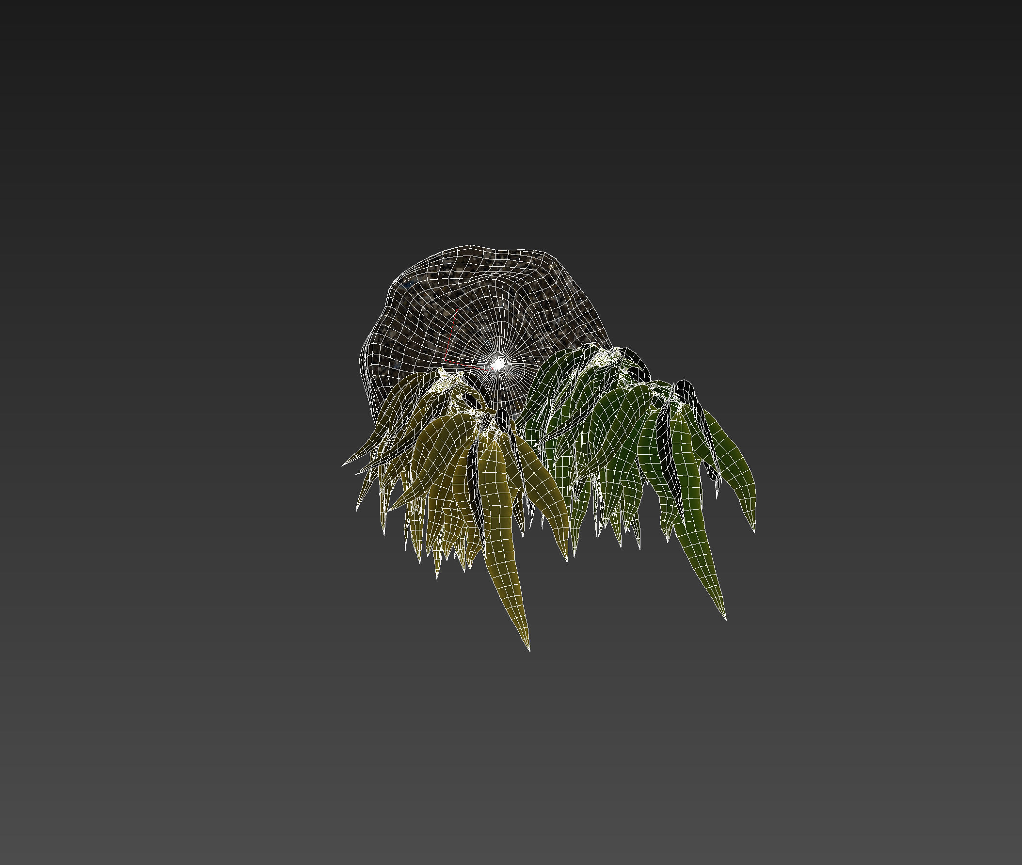 Kelp  V1 3D model_7