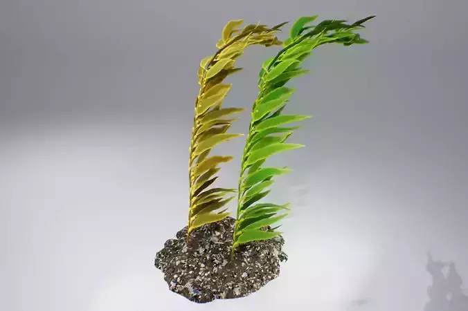 Kelp V2 3D model