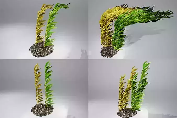 Kelp collection plant 3D model
