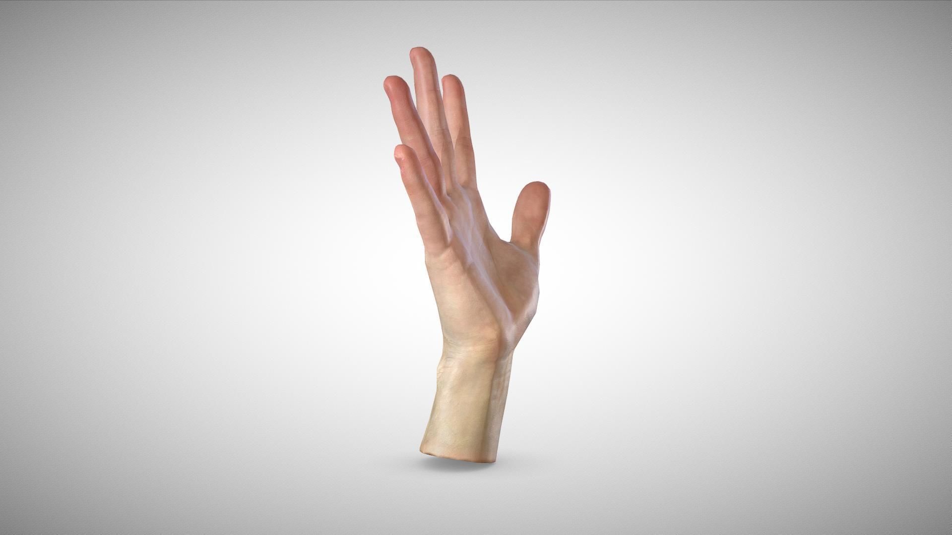 3D scan of the hand Low-poly 3D model_2