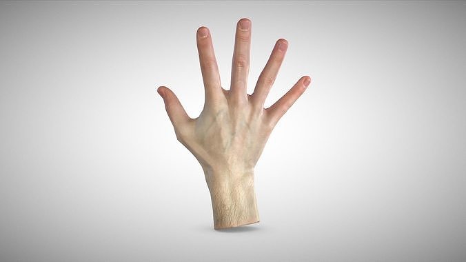 3D scan of the hand Low-poly 3D model