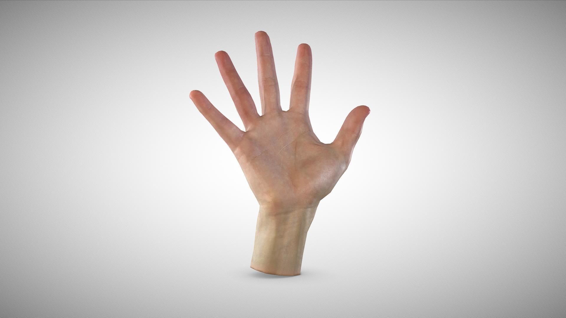 3D scan of the hand Low-poly 3D model_3