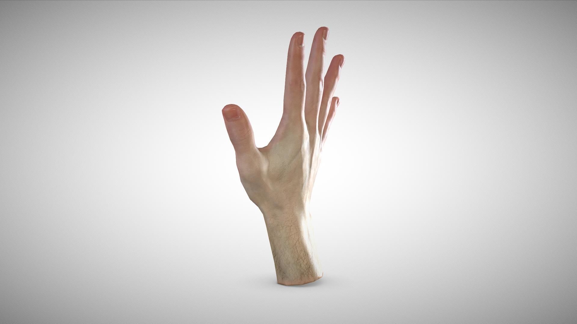 3D scan of the hand Low-poly 3D model_4