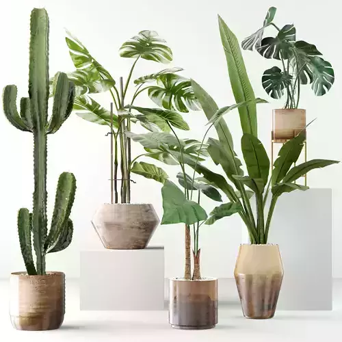 Plants collection 04 3D model