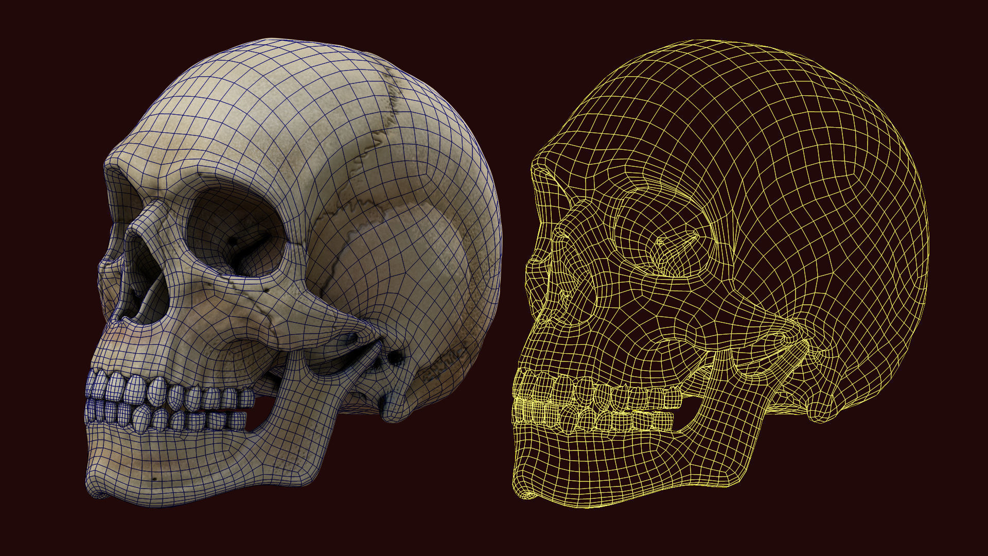 Ancient Skull Low-poly 3D model_4
