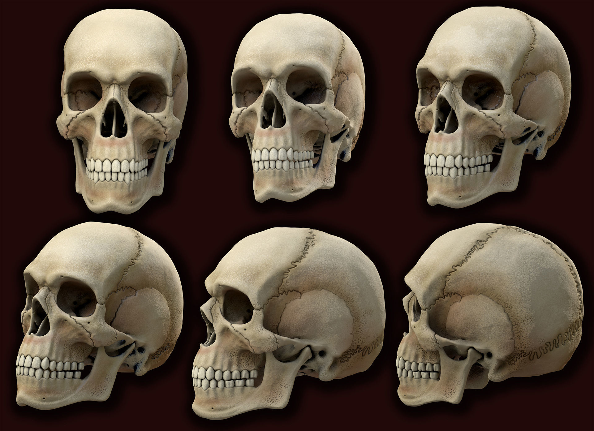 Ancient Skull Low-poly 3D model_2