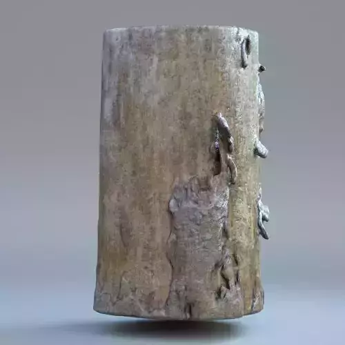 Tree log 02 3D model