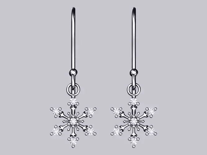 Snowflake earrrings