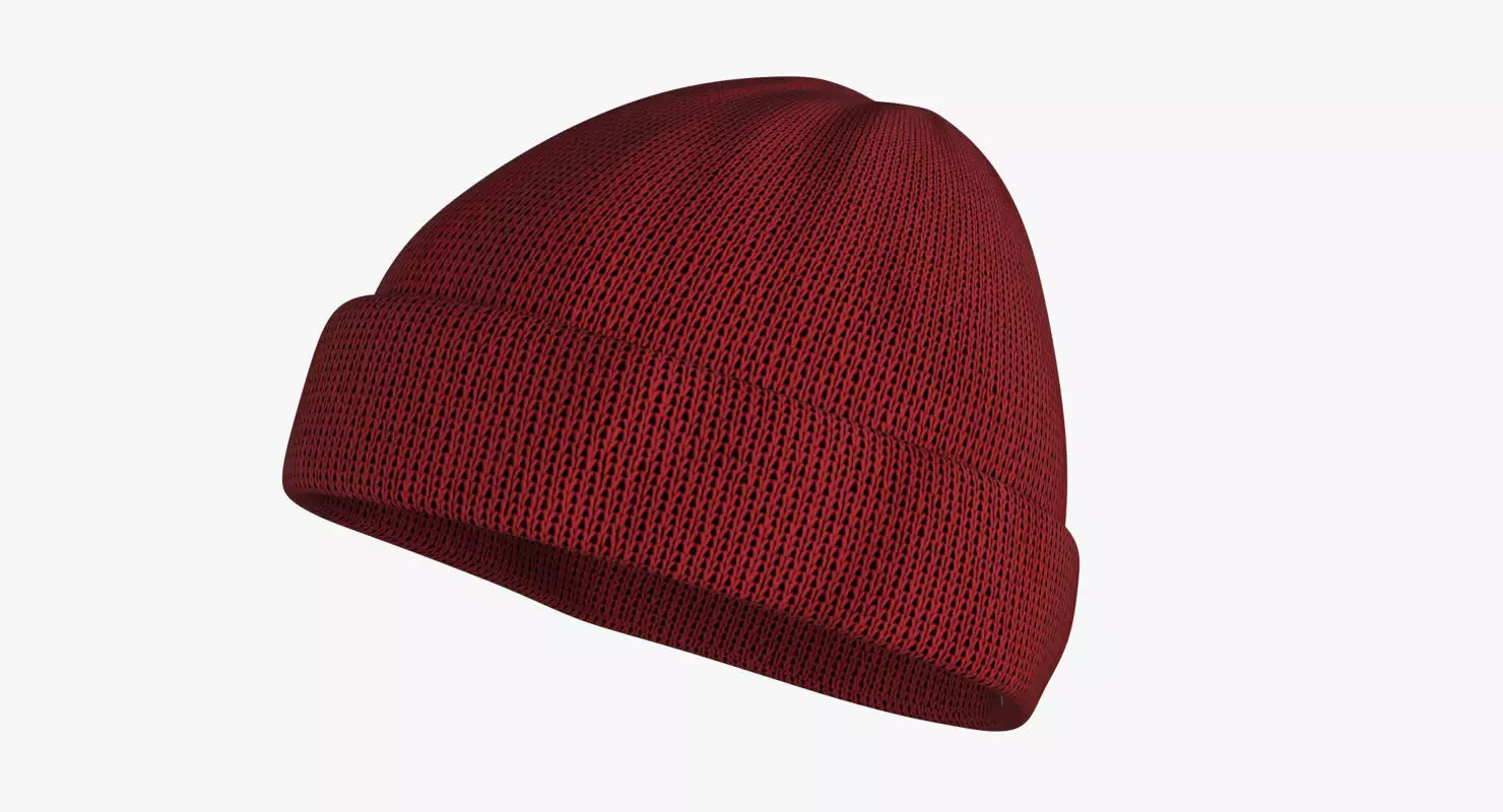 Beanie Hat  Low-poly 3D model_0