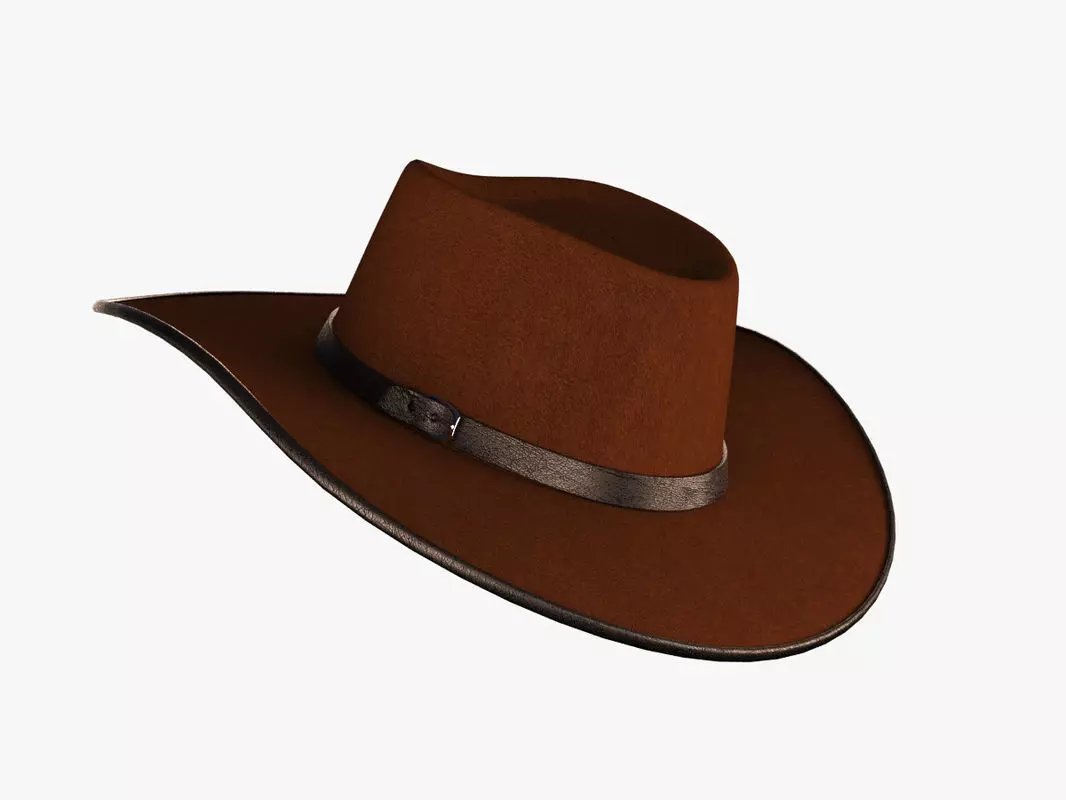 Cowboy Hat 3D model_0