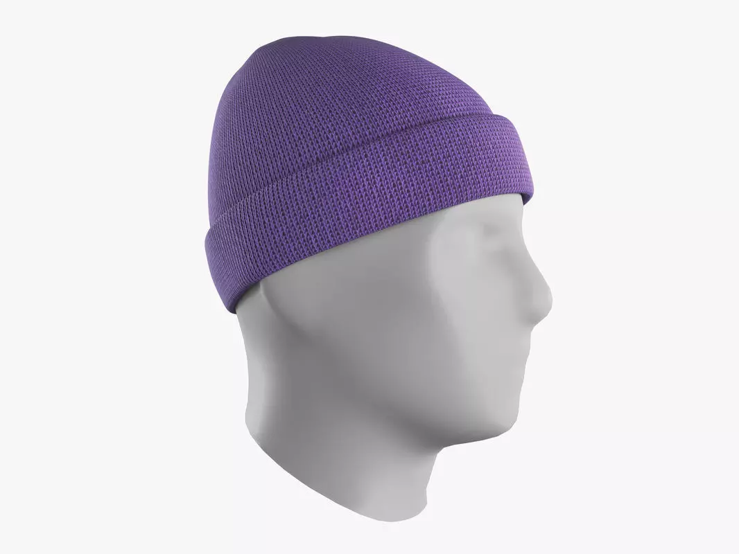 Beanie Hat Low-poly 3D model_0