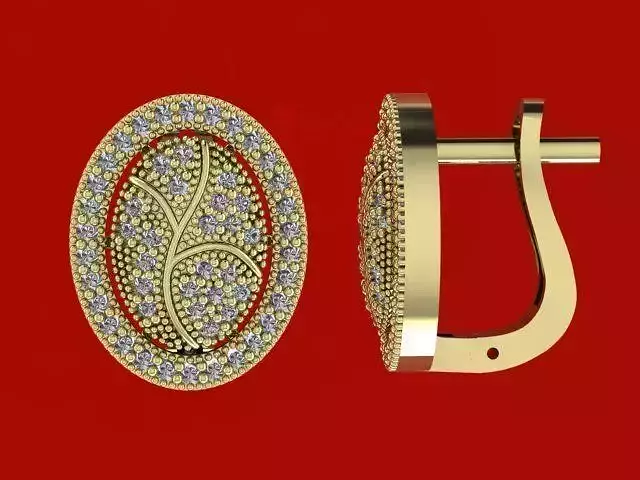 Chic woman earring with shiny stones