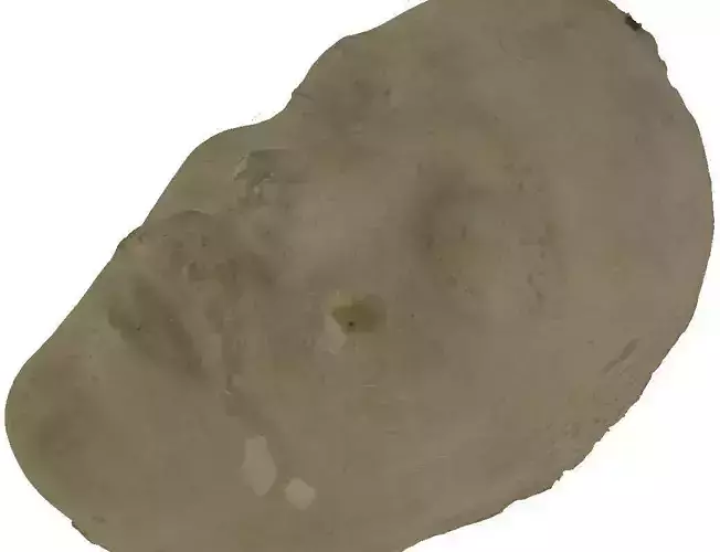 Death mask of Sigge Wulff