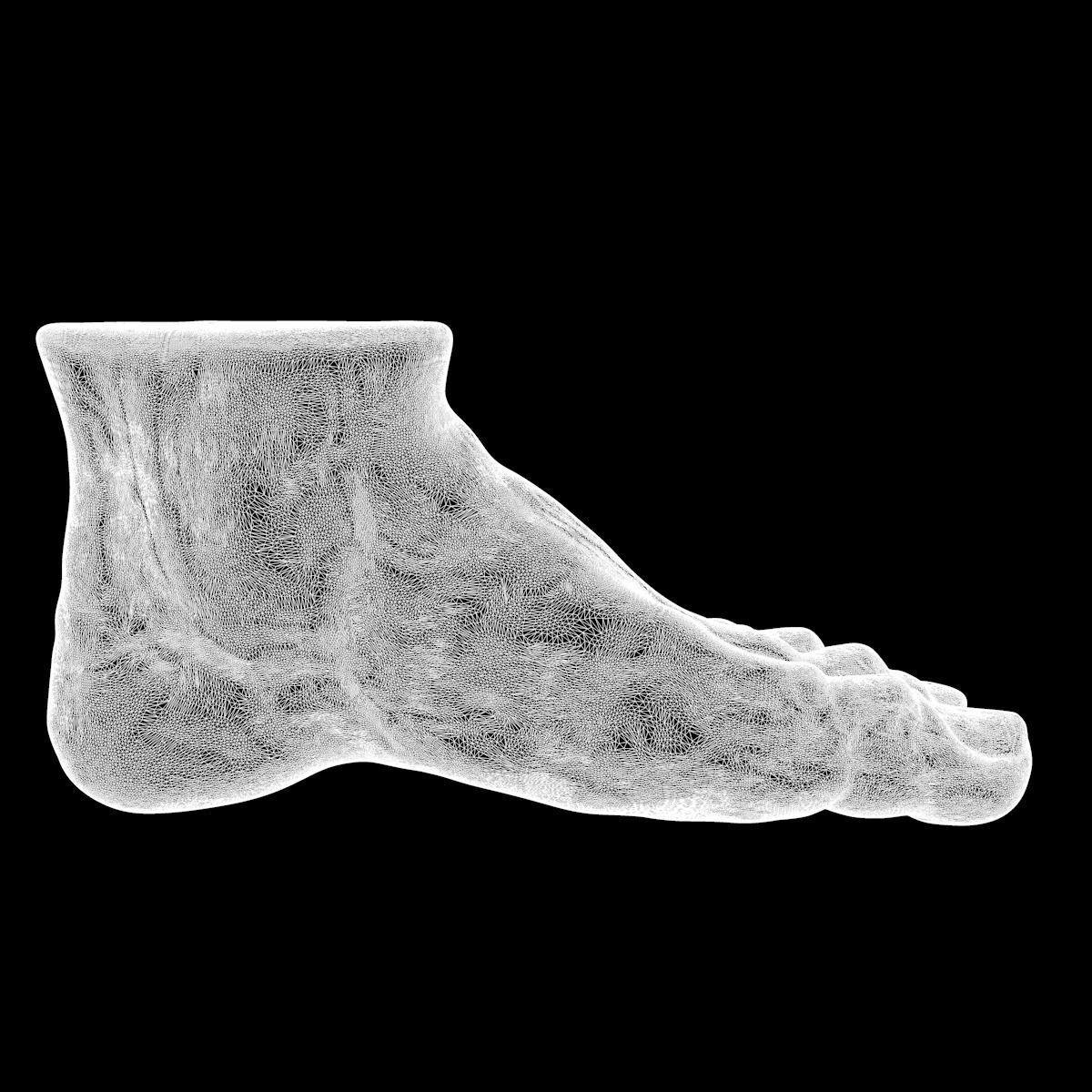 Foot human 3D model_4