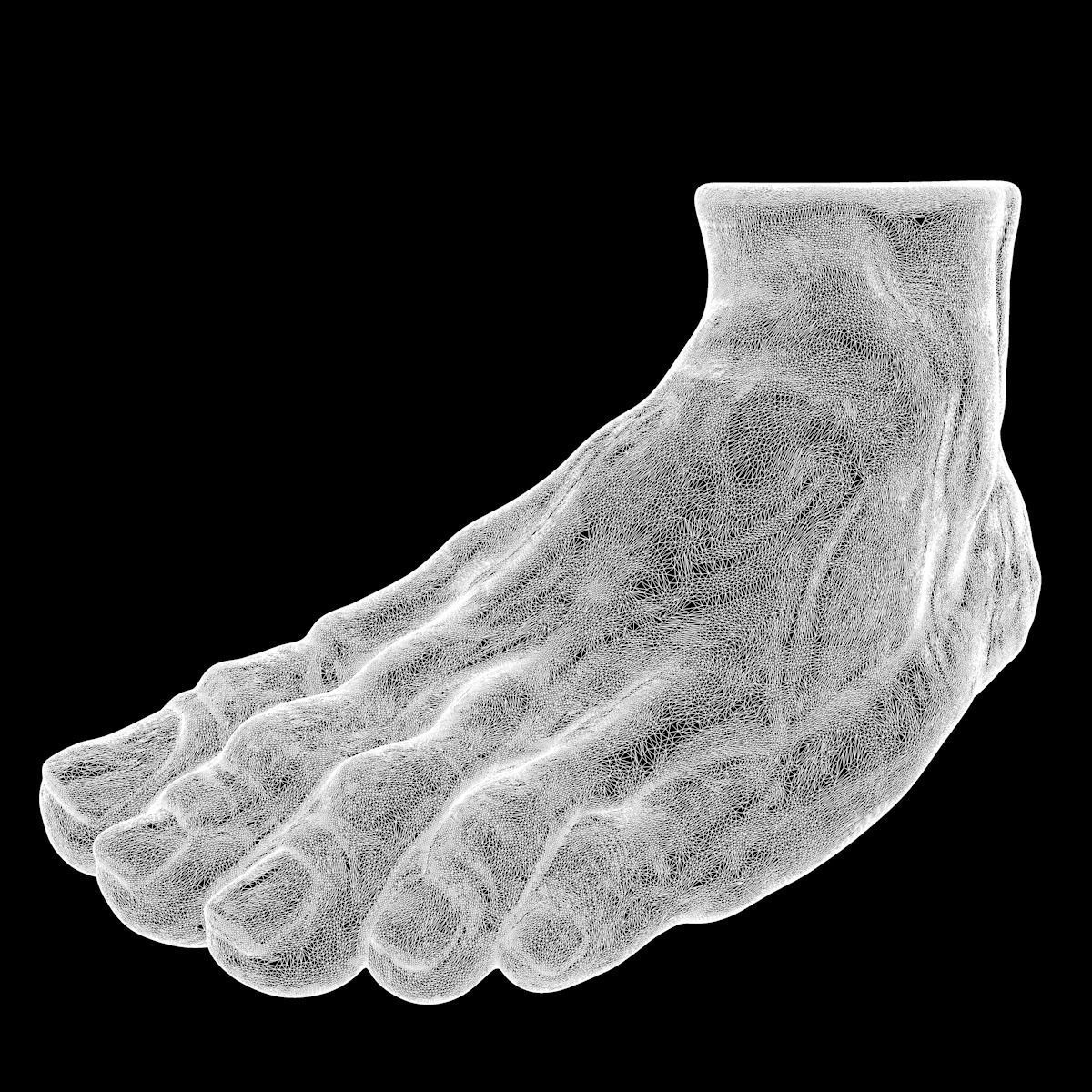 Foot human 3D model_3