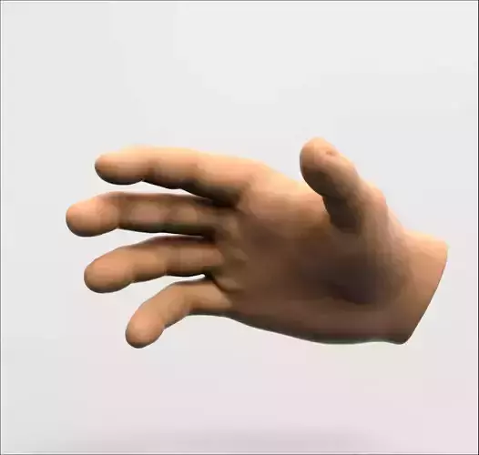 Hand human