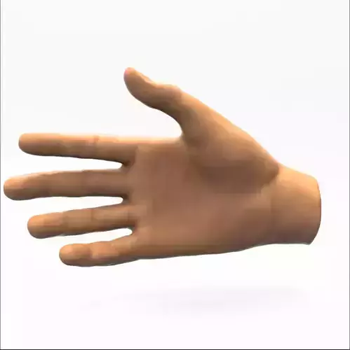 Human Hand