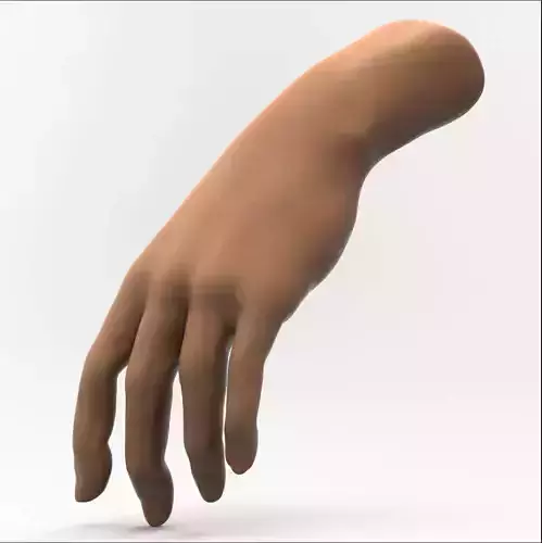 Human Hand 3D model