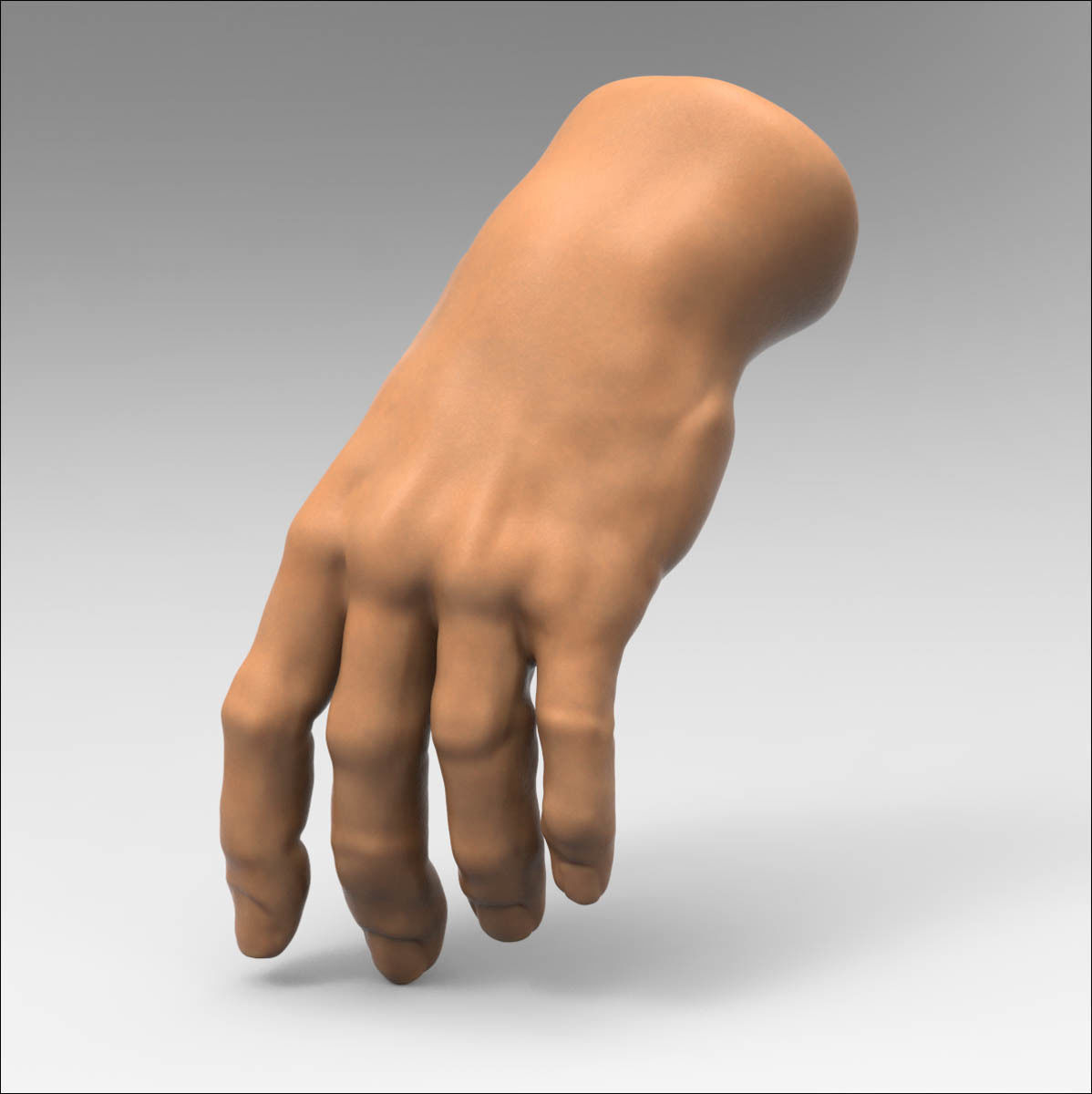 3D model Human Hand 3D model_4