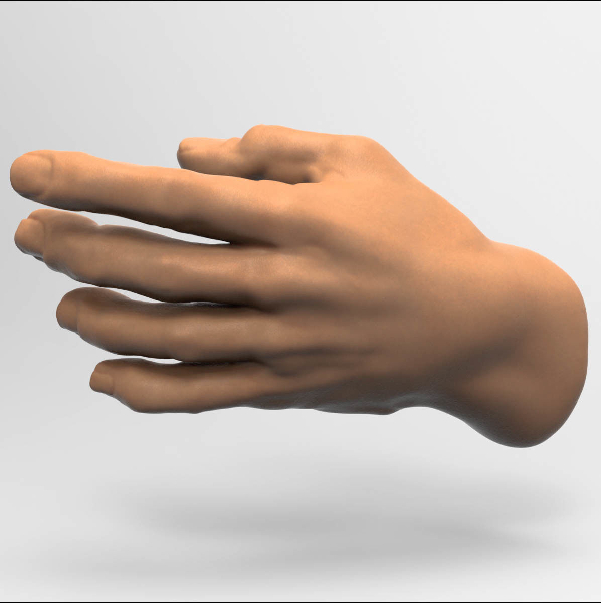 3D model Human Hand 3D model_8