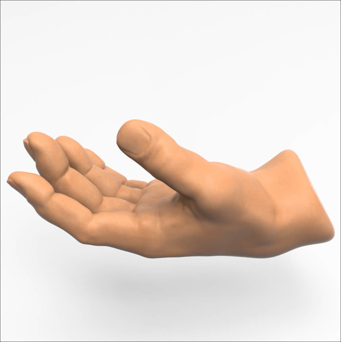 3D model Human Hand 3D model_1
