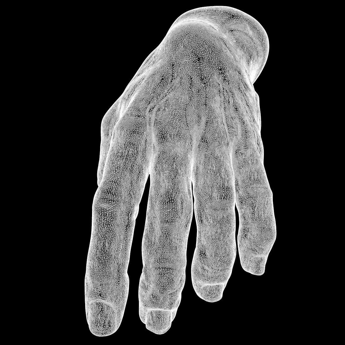 3D model Human Hand 3D model_9