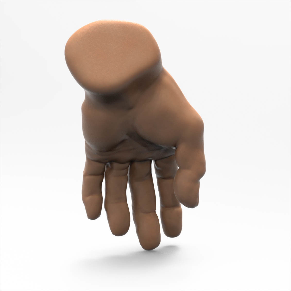 3D model Human Hand 3D model_5
