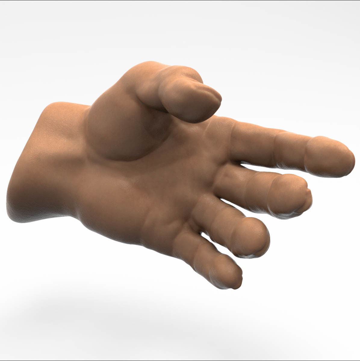 3D model Human Hand 3D model_7