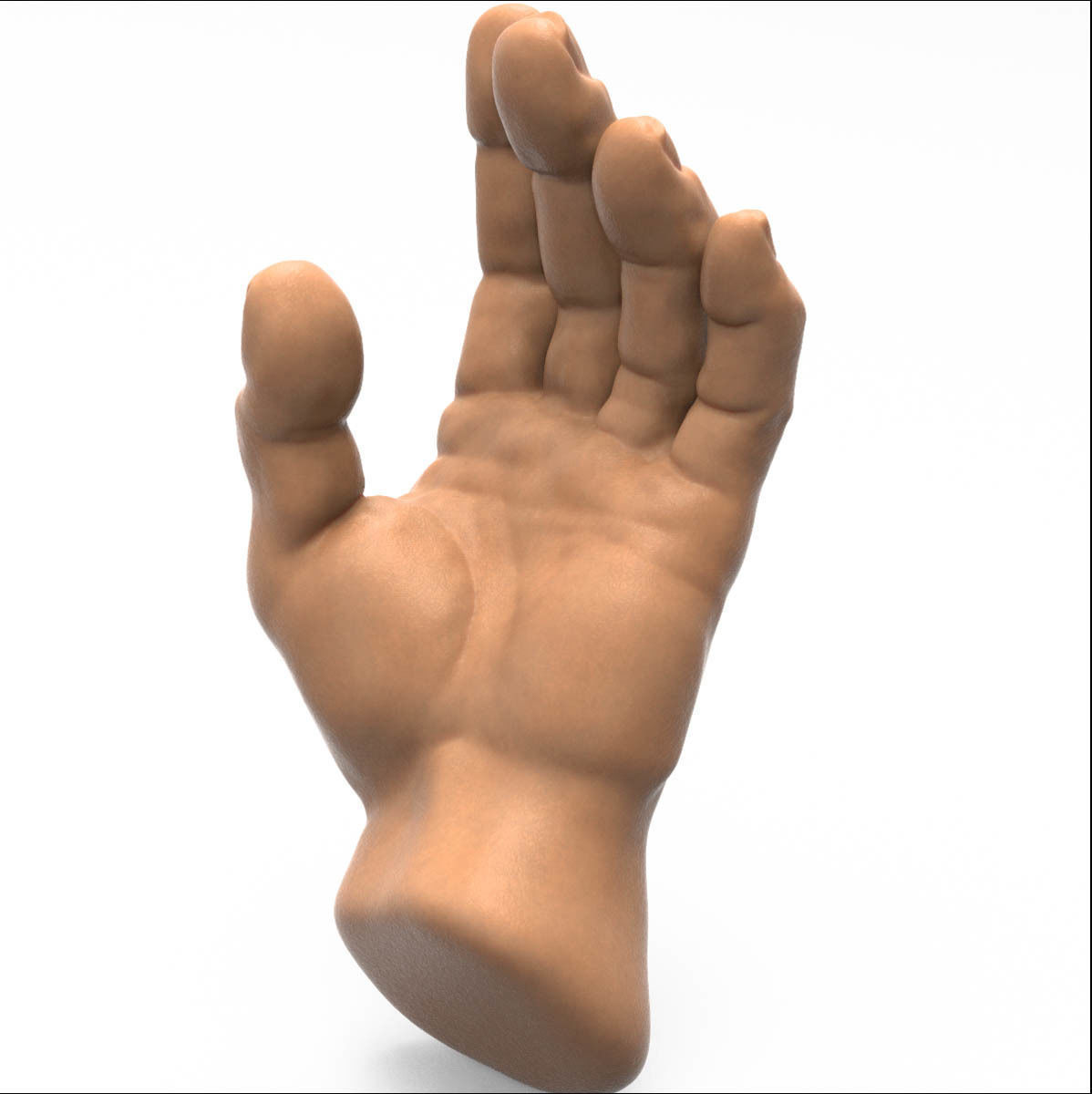 3D model Human Hand 3D model_2