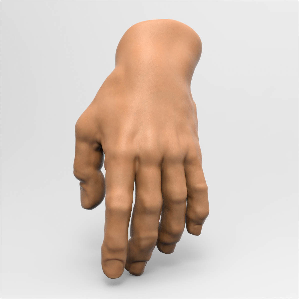 3D model Human Hand 3D model_3