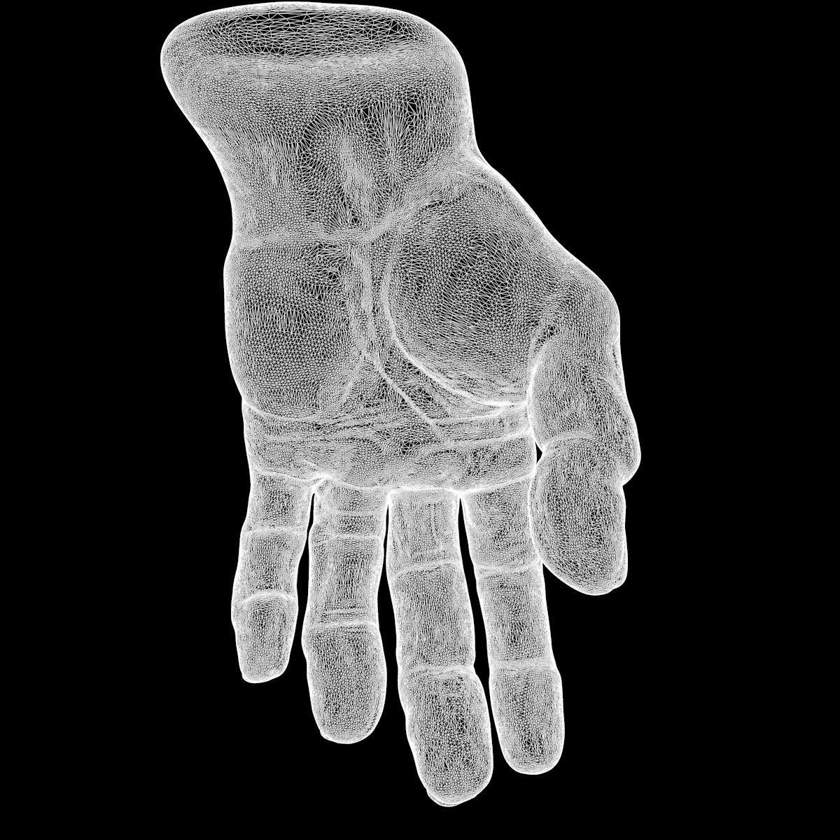 3D model Human Hand 3D model_10