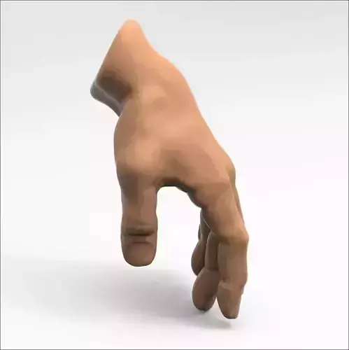 3D model Human Hand 3D model