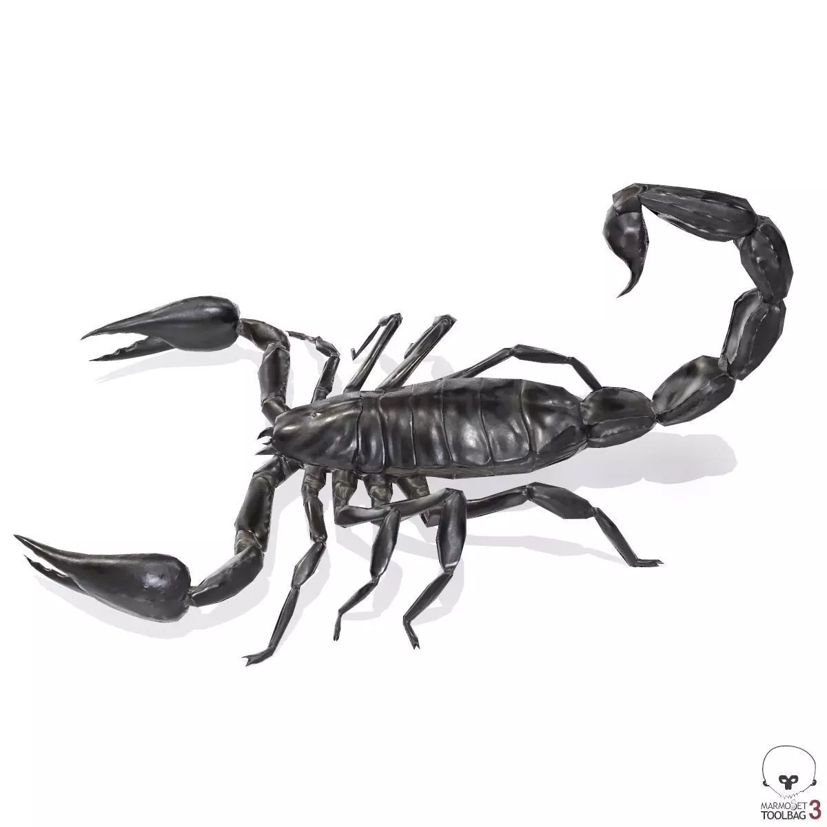Photorealistic Black Scorpion Low-poly 3D model_0