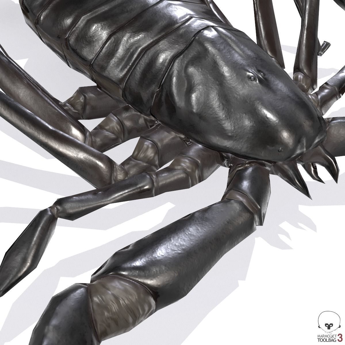 Photorealistic Black Scorpion Low-poly 3D model_6