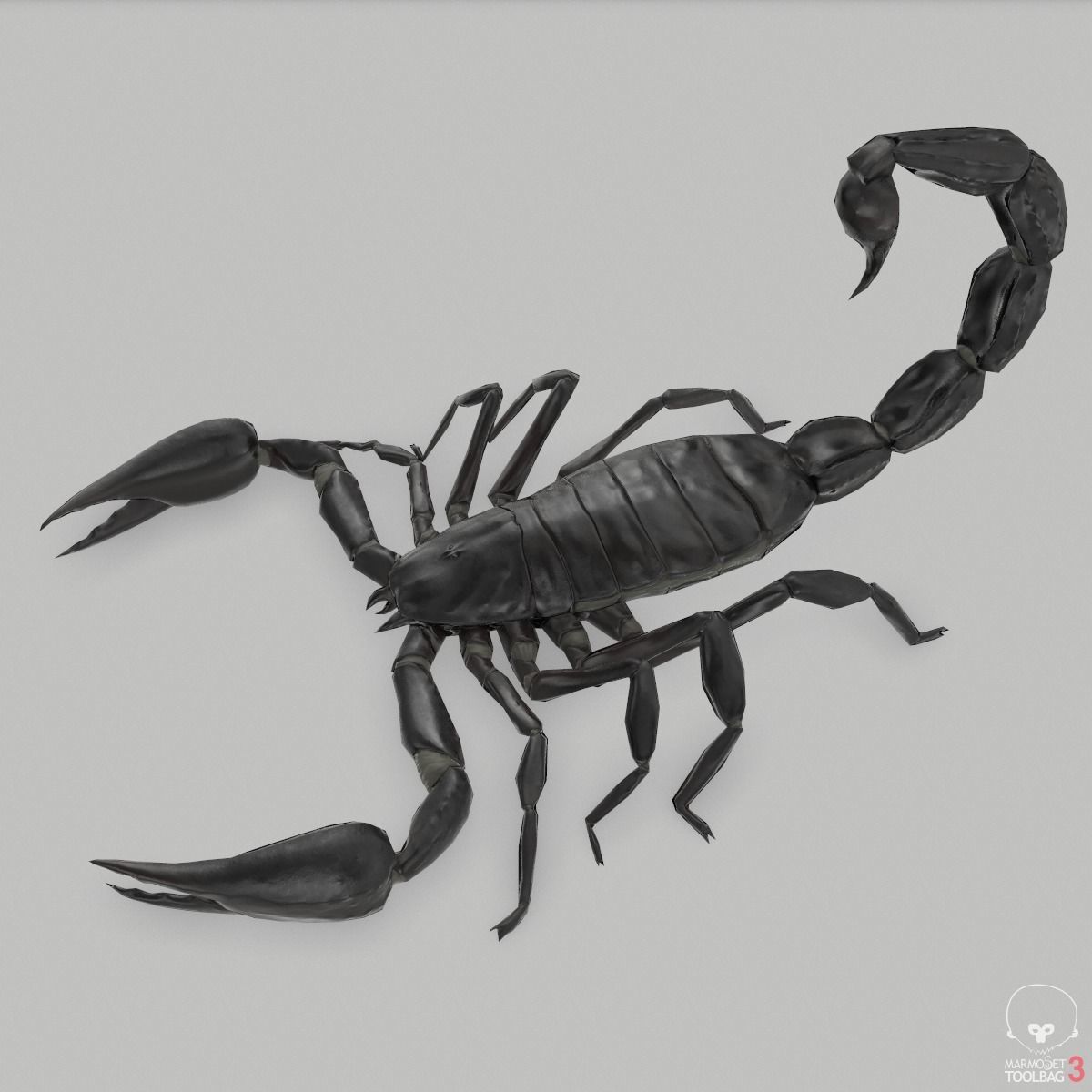 Photorealistic Black Scorpion Low-poly 3D model_9