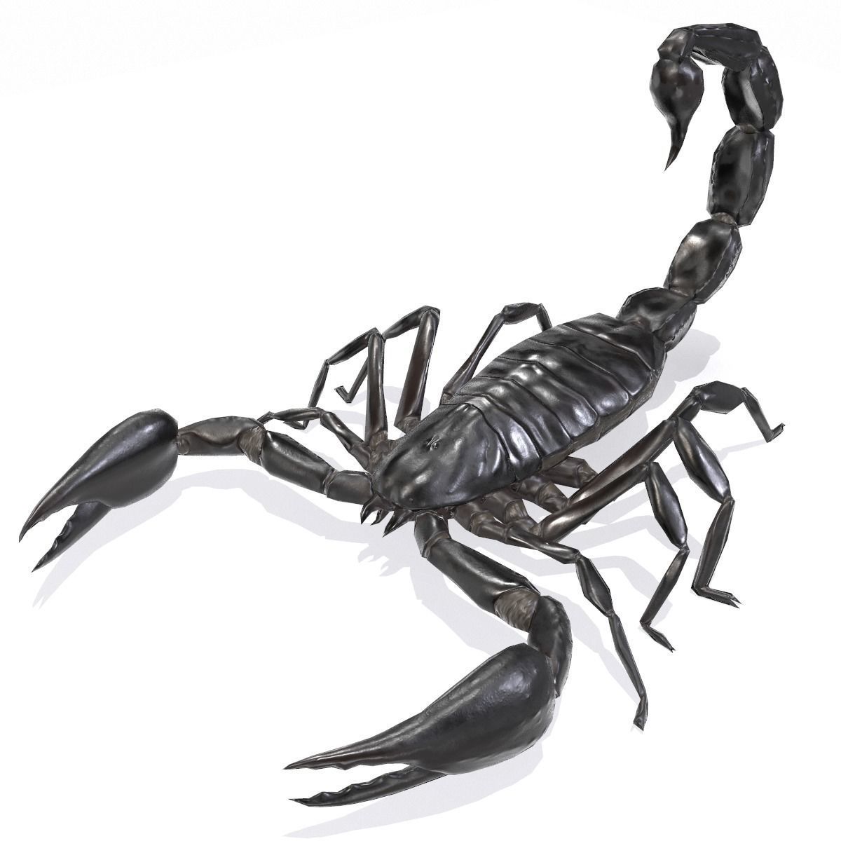 Photorealistic Black Scorpion Low-poly 3D model_3