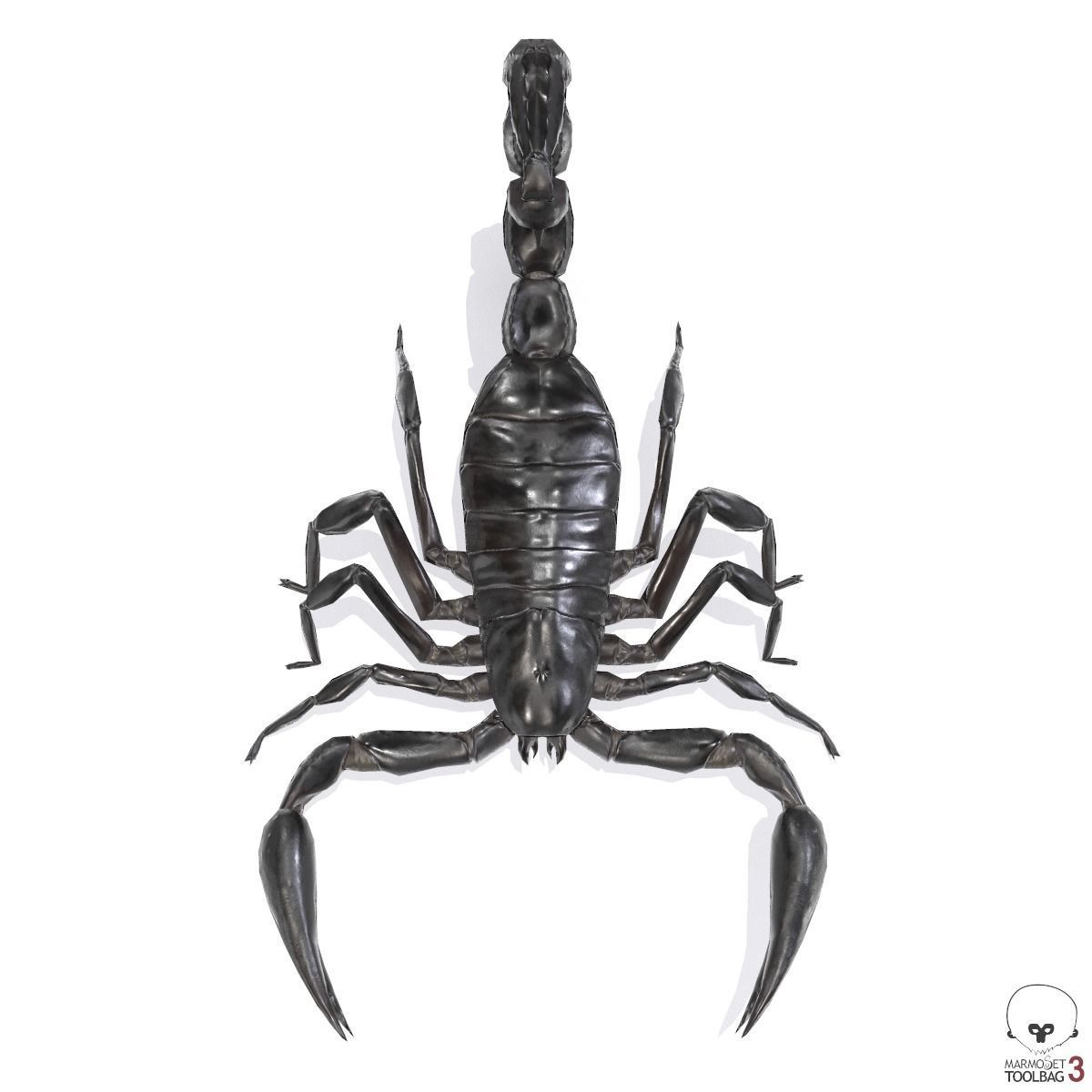 Photorealistic Black Scorpion Low-poly 3D model_5